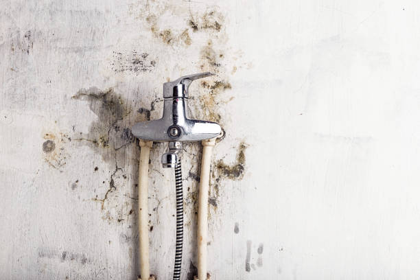 Best Office Mold Removal Services  in Juneau, WI