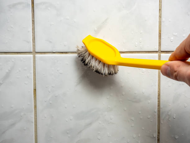 Best Mold Testing  in Juneau, WI