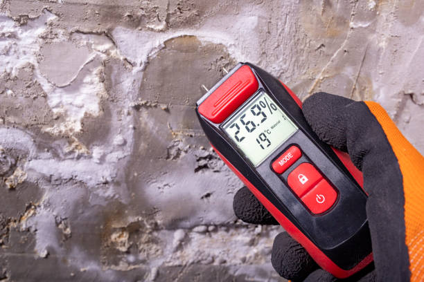 Mold Testing and Removal in Juneau, WI
