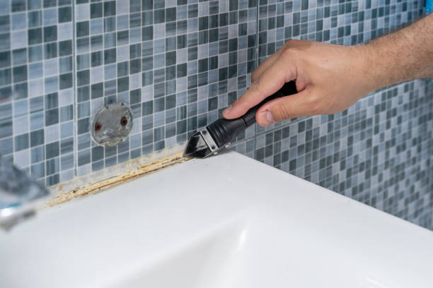 Certified Mold Removal in Juneau, WI